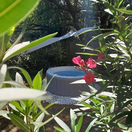 Suite Avec Jardin Entre Aix En Provence, Luberon Et Verdon Peyrolles-en-Provence Eksteriør bilde