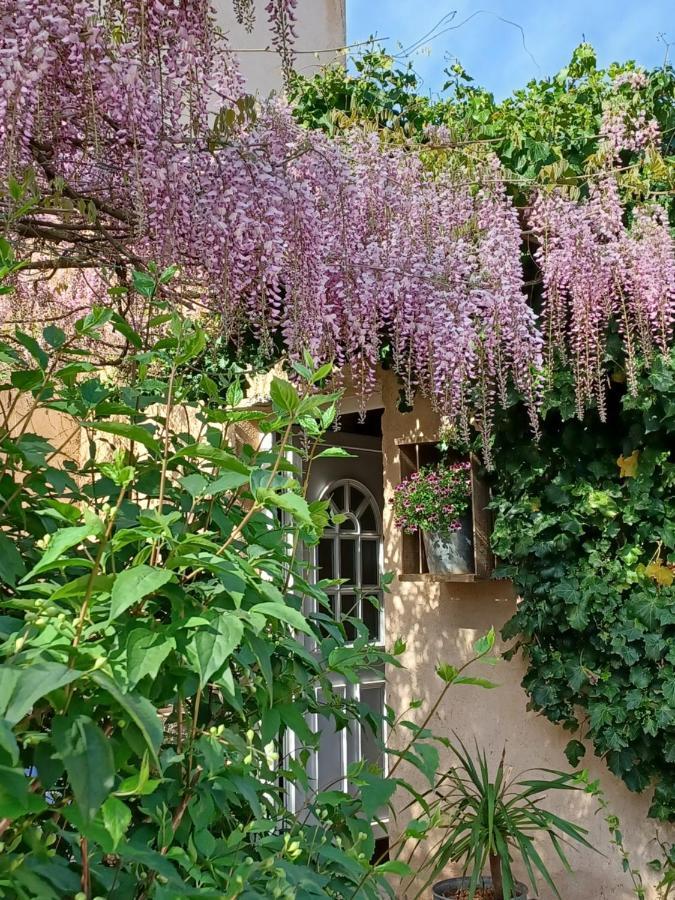 Suite Avec Jardin Entre Aix En Provence, Luberon Et Verdon Peyrolles-en-Provence Eksteriør bilde